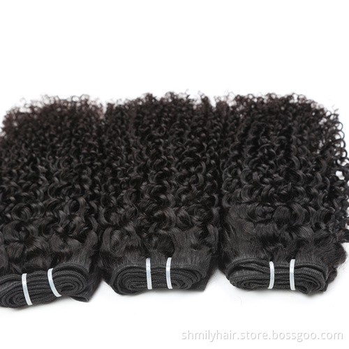 Human Hair Supplier Curly Wave Hair Wig Indian Human Hair Extension Double Drawn Weft